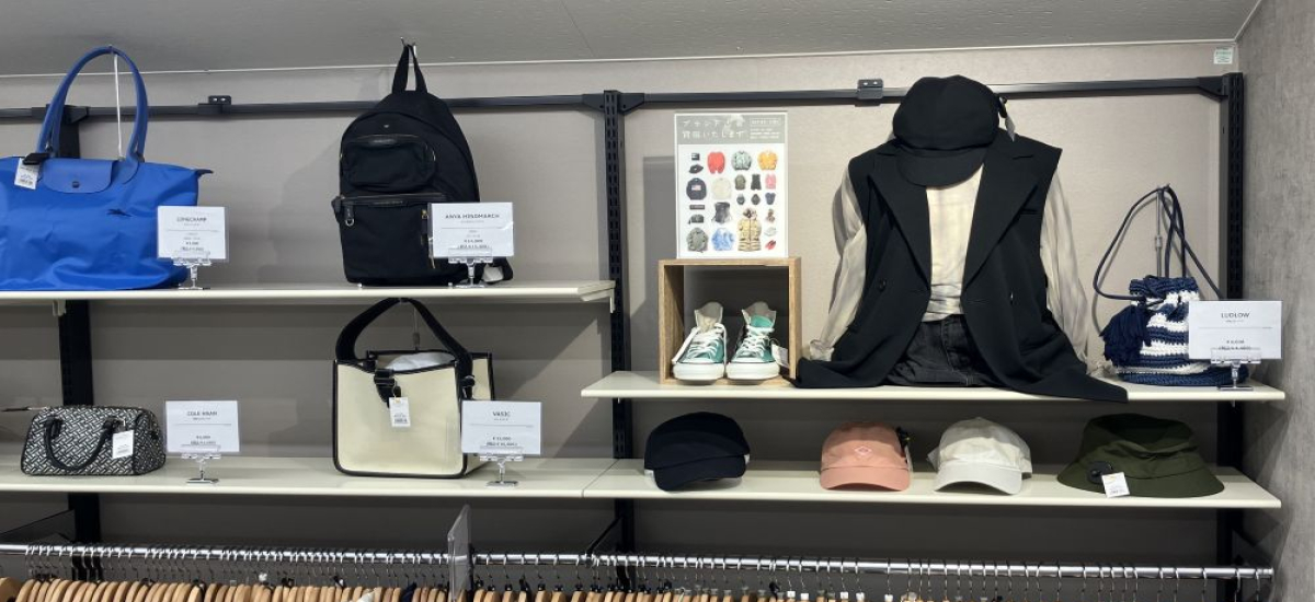 見どころ豊富な広々店内